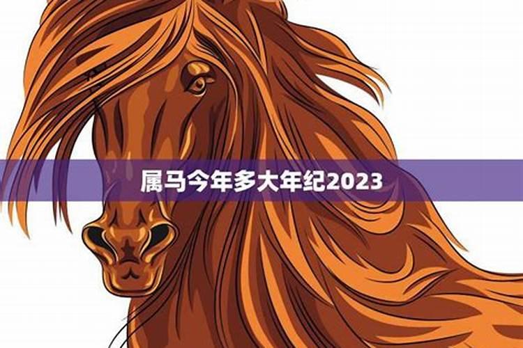 属马今年多大年龄2023年