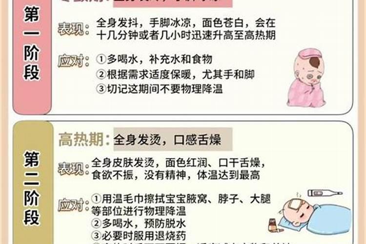 本命年虎的三合属相