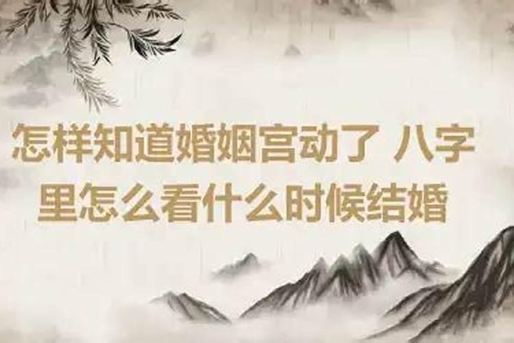 梦见离婚的老婆回来又走了