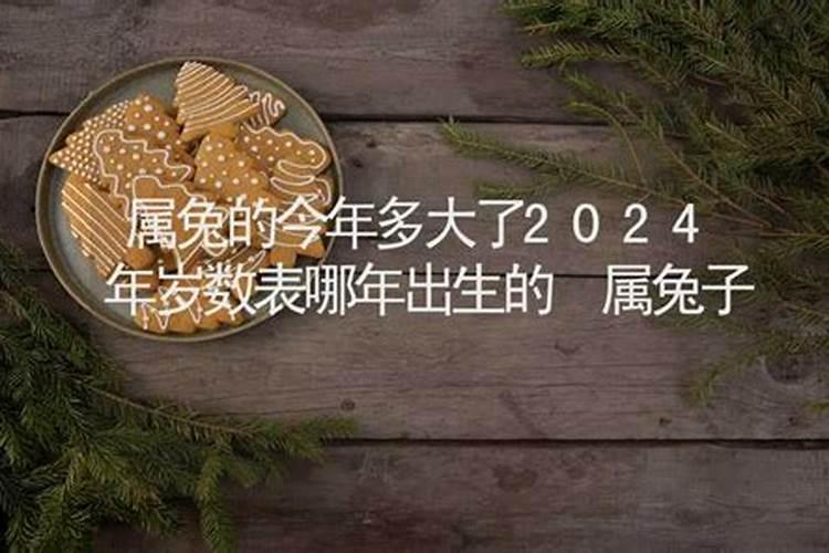 属兔的今年多大的年龄表2020