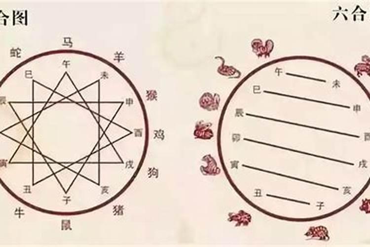 梦到怀孕有流产的征兆什么意思