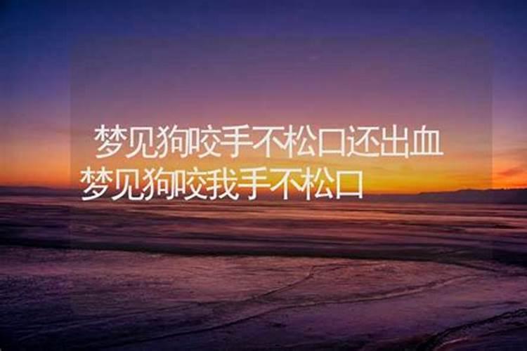 梦见狗咬自己手不放预示什么呢周公解梦