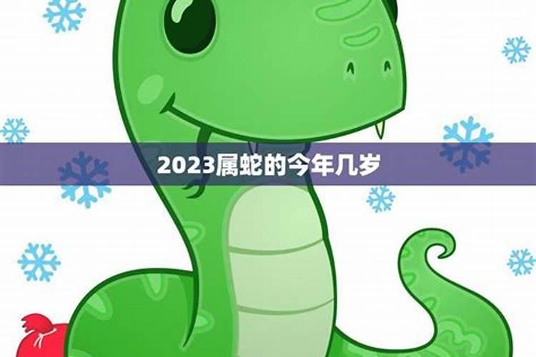 2023生肖蛇今年运势