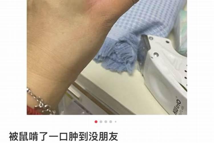 梦见打老鼠时被咬了手指头