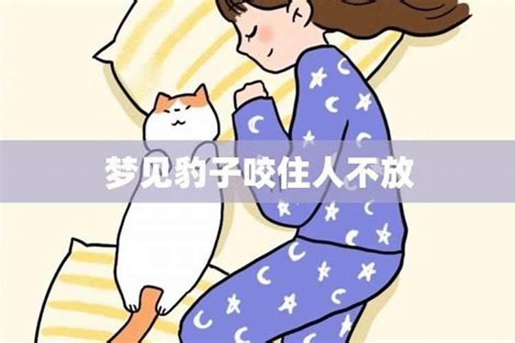 梦见豹子咬住我手不松口了