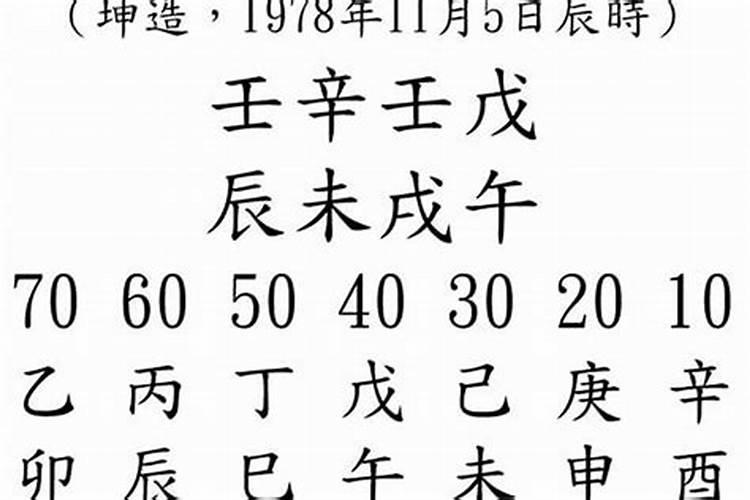 八字双狗是什么意思