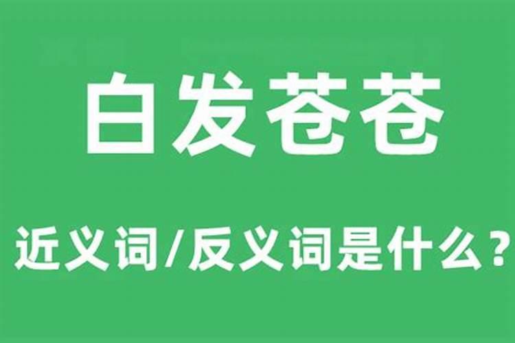 梦见死人白发苍苍