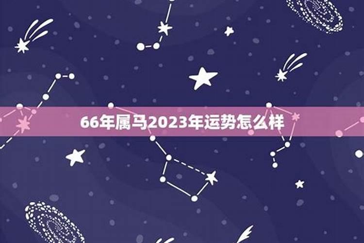 66年男马2023年运势