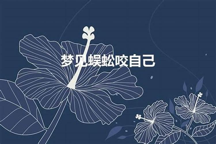 做梦梦见蜈蚣咬我什么意思