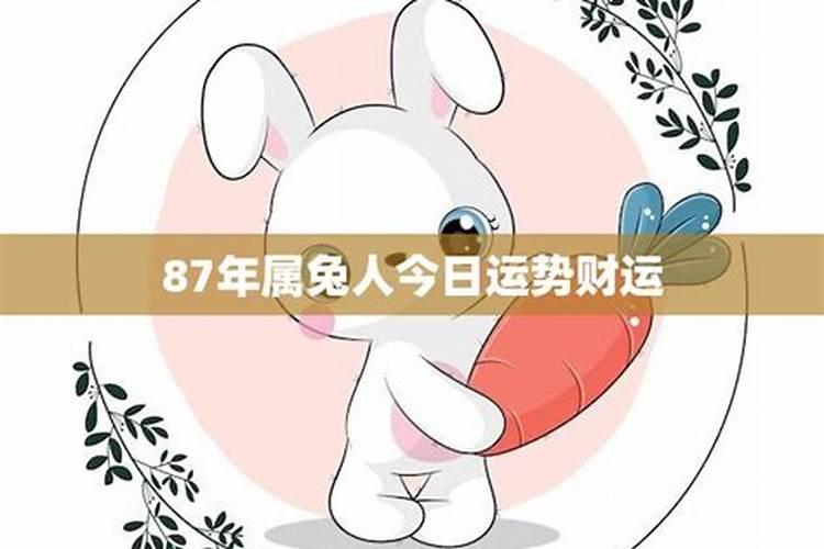 87年属兔人今日运程