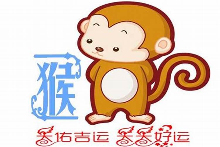 属猴的今年多大2019