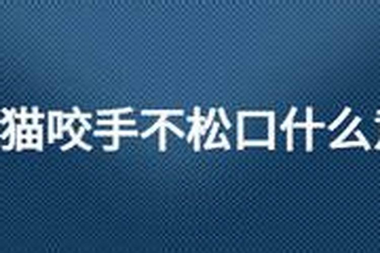 梦见被白猫咬住手不松口了啥意思