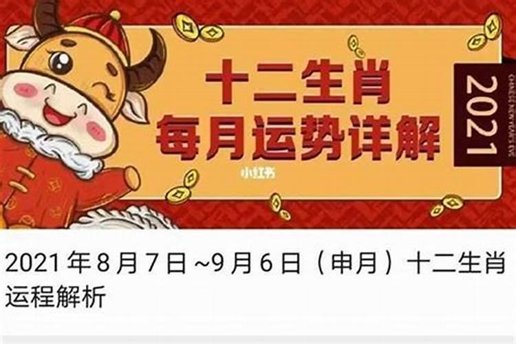 2021年农历8月各生肖运势