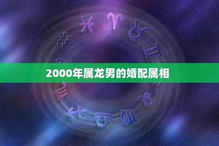 2000年属龙男配什么属相最好