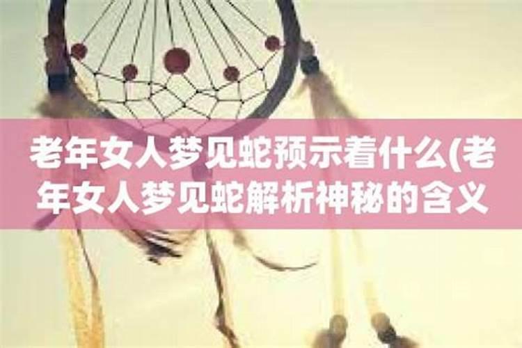 中老年女性梦见蛇