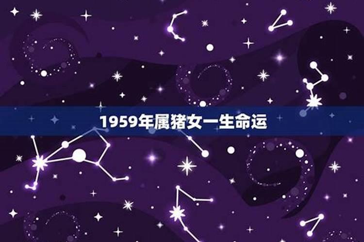 1959年属猪的人