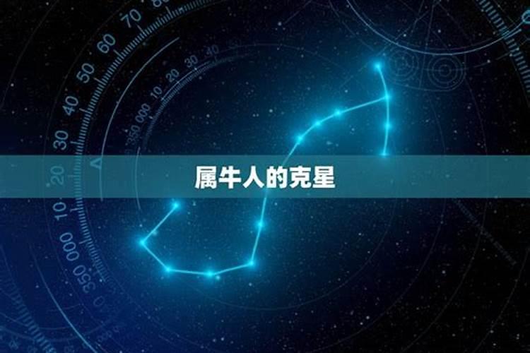 属牛的克星是哪几个