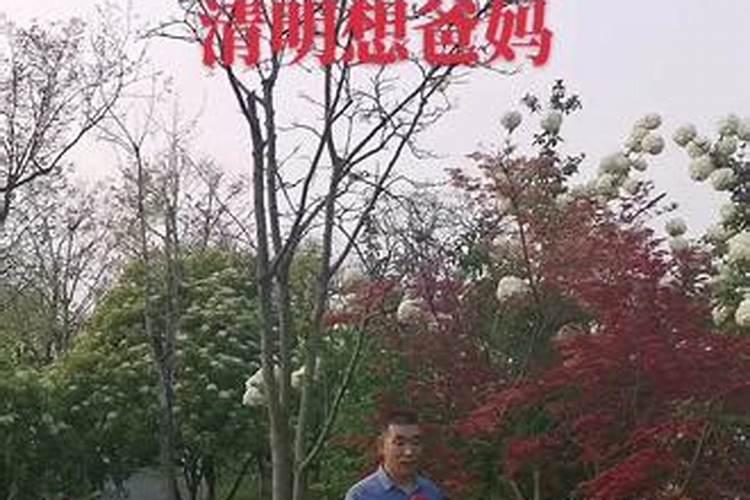 清明节没法回去扫墓怎么办