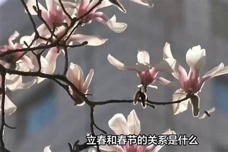 立春和春节什么关系