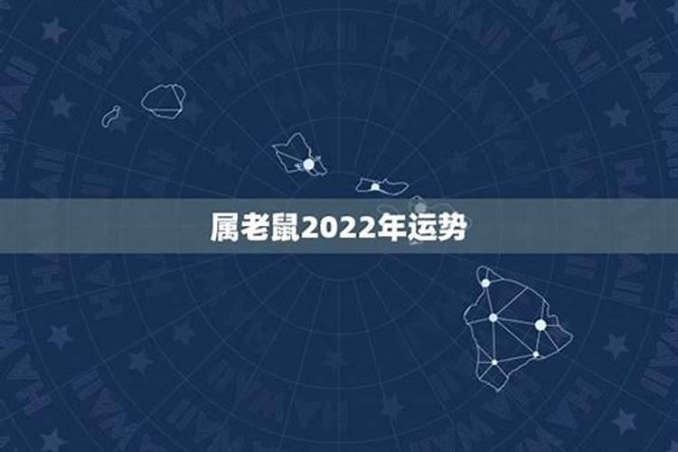 老鼠今年运势2023年