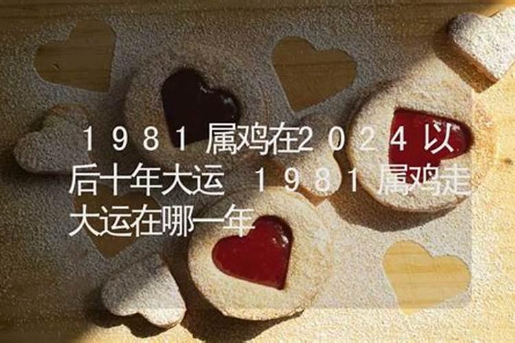 属鸡在2021年以后十年大运