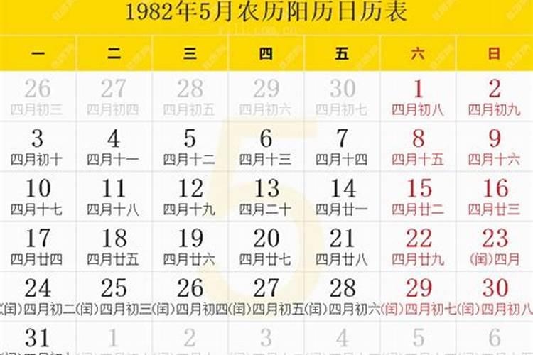 1982年属狗阴历5月19日命运