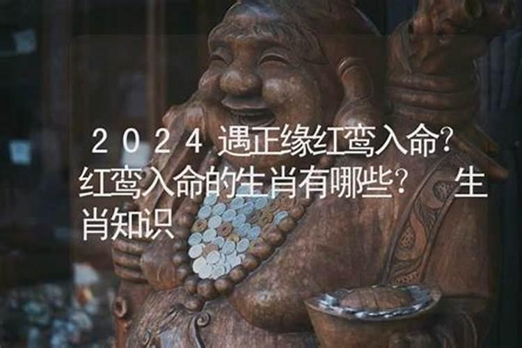 2024年红鸾星动的八字