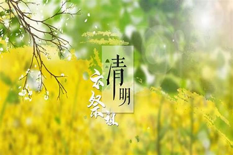 清明节放几天洗头