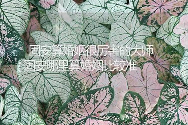 分手后梦到前任有新欢了怎么回事儿