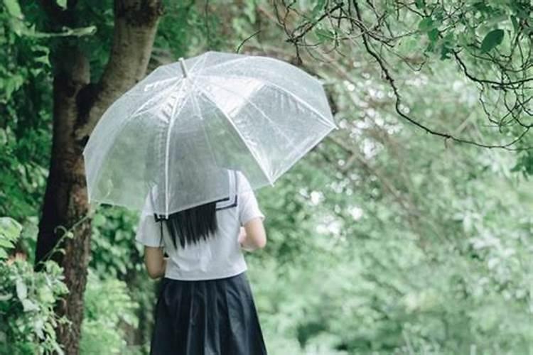 梦见下大雨有人给我撑伞好不好呢