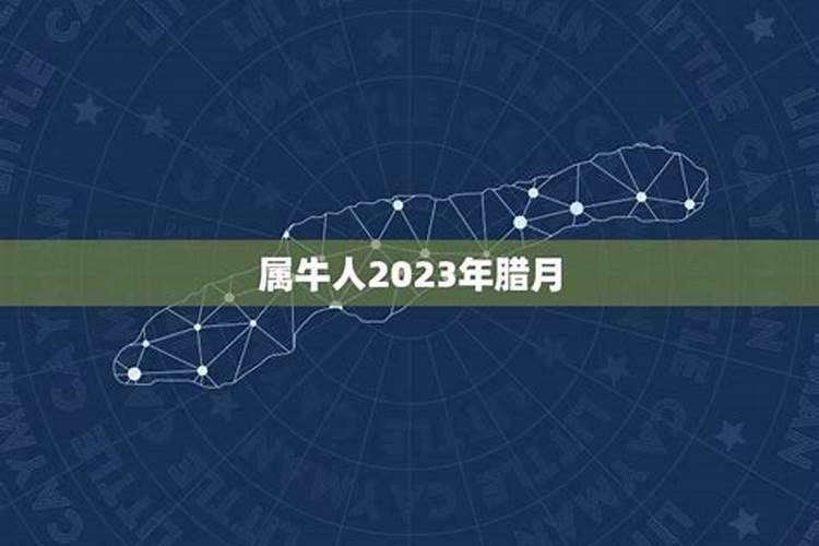 2021属牛几月犯月最严重