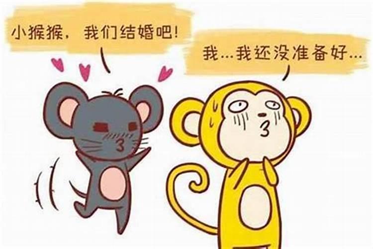 生肖兔和生肖猴合婚吗