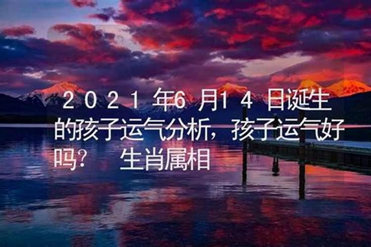 1885年属牛2023年运势如何