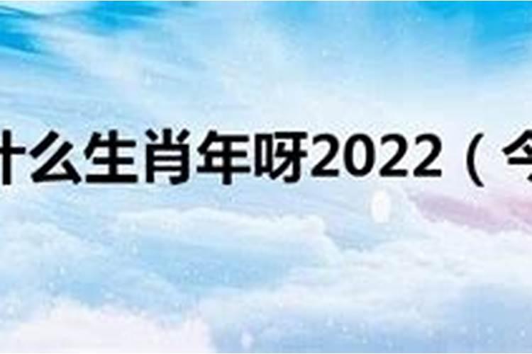 2022年是什么生肖呢