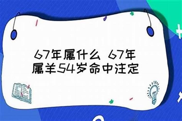 67年属羊男命里缺什么