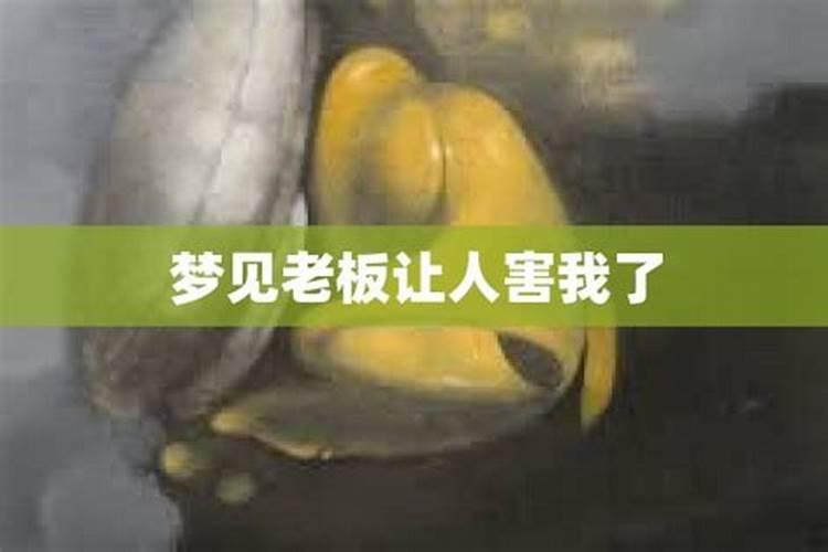 梦见老板骂我让我走