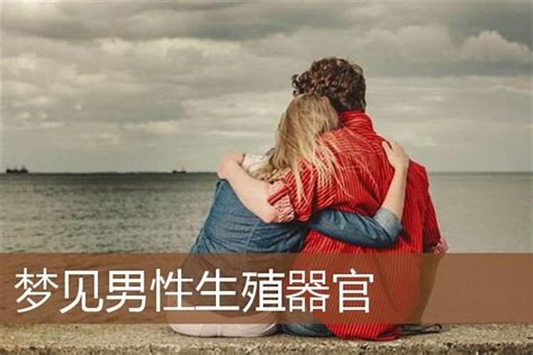 梦见男人的那东西