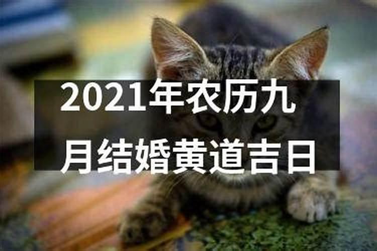 2021年农历九月初三是黄道吉日