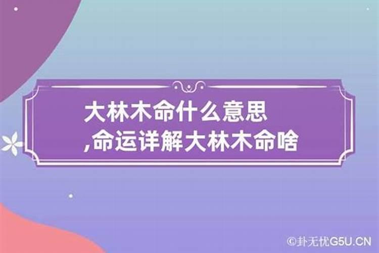 大林木是什么命运