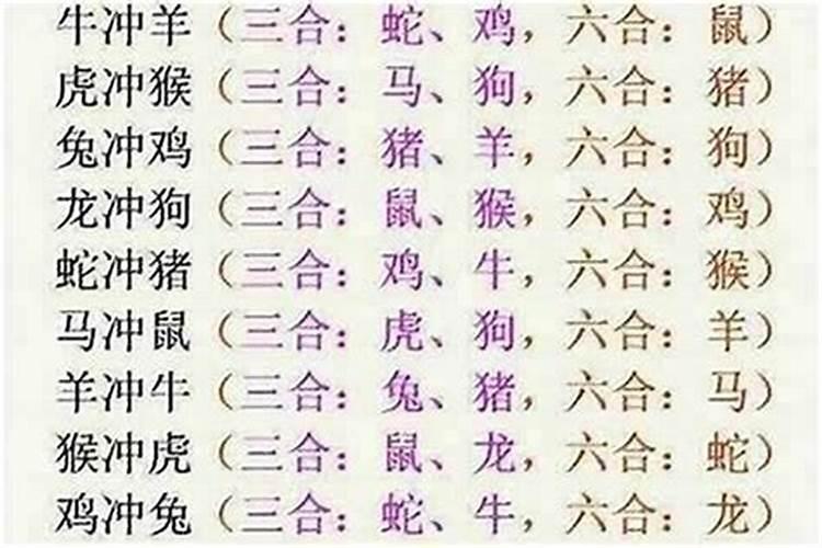 属牛的和哪些合八字