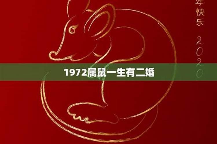 1972出生的鼠一生运势如何