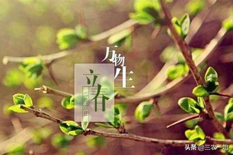 今天立春有什么禁忌吗