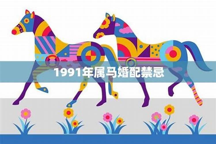 1991年属马的运势