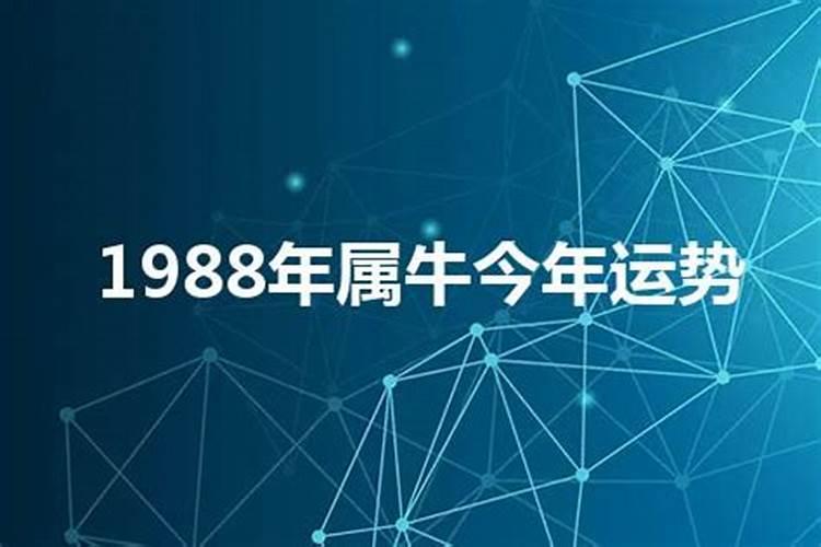 1988年属牛2022年运势及运程