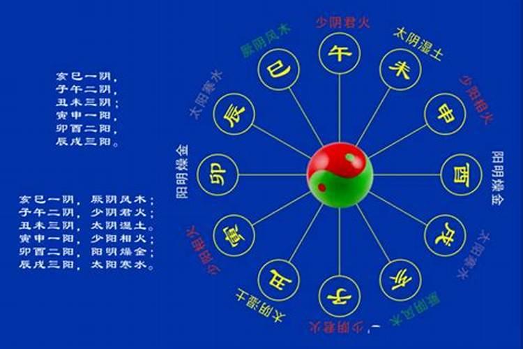 五运六气立冬之后属什么生肖