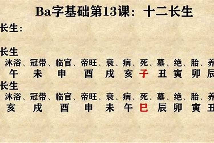 八字算命根多是什么意思