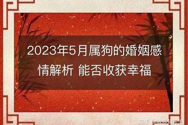 2023属狗的婚姻运势如何