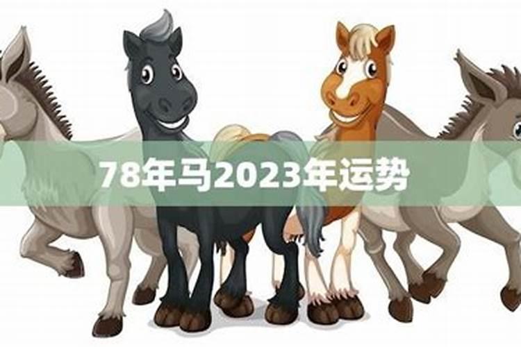 属鼠96年生的2023年运程