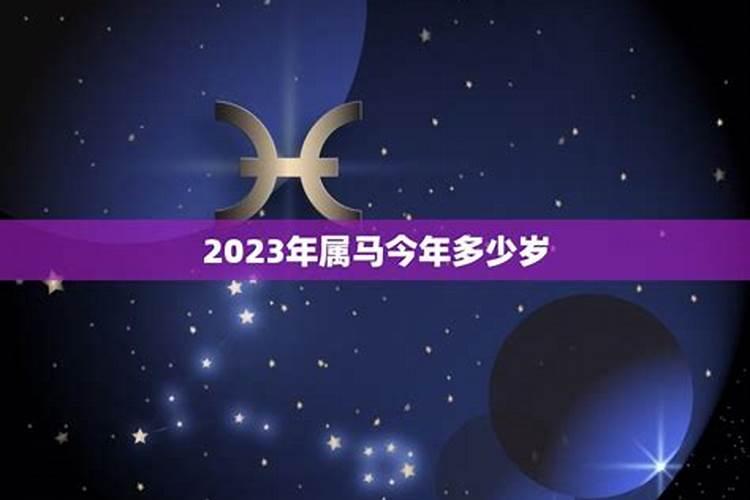 属马今年的运势2023