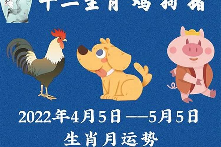 属猪的5月份运势